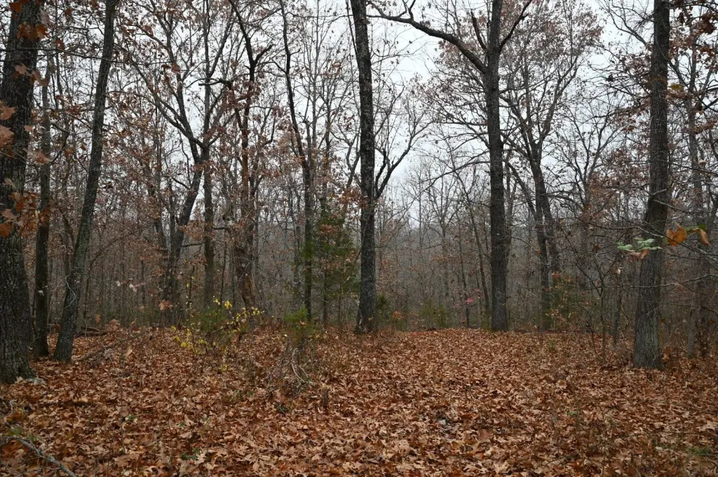 Picture 4