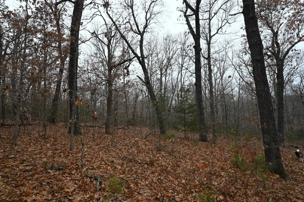 Picture 7