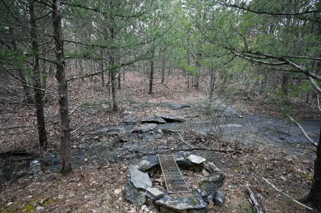 Picture 2