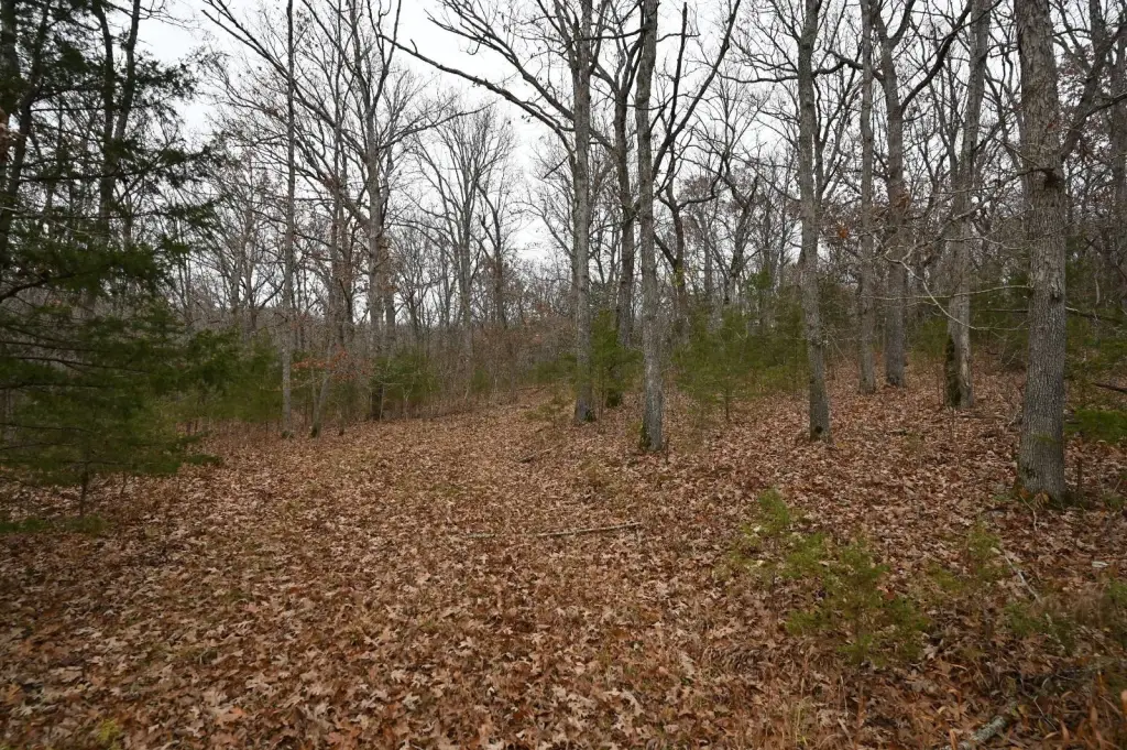 Picture 12