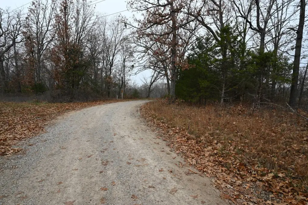 Picture 20
