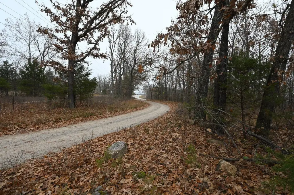 Picture 3