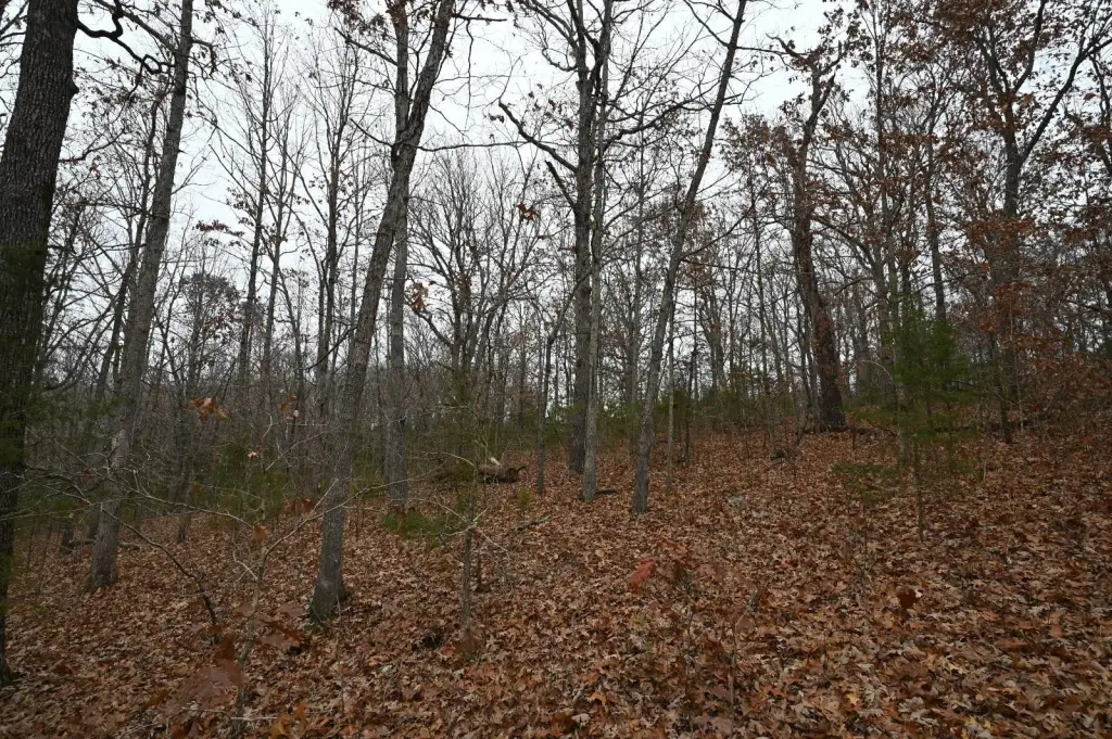 Picture 9