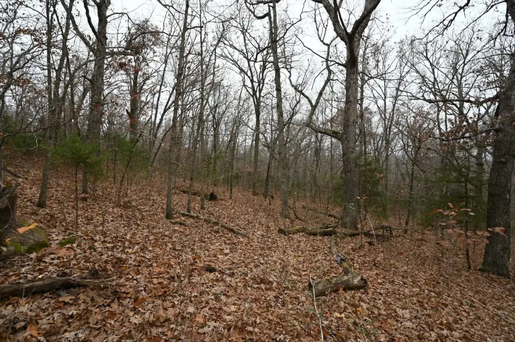 Picture 10