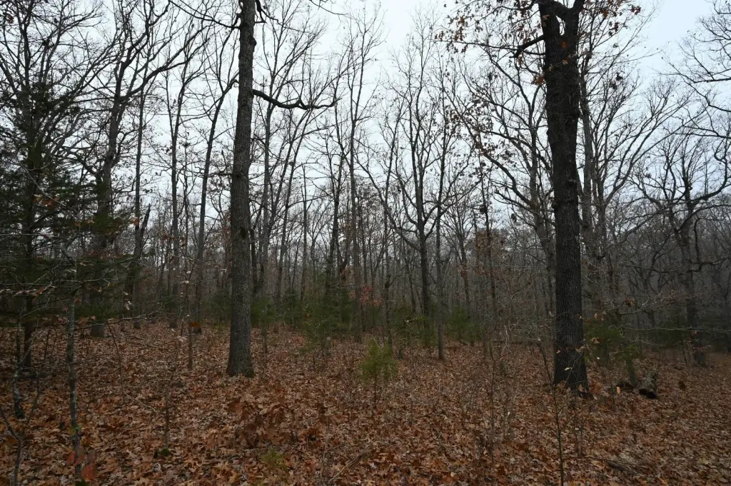Picture 8