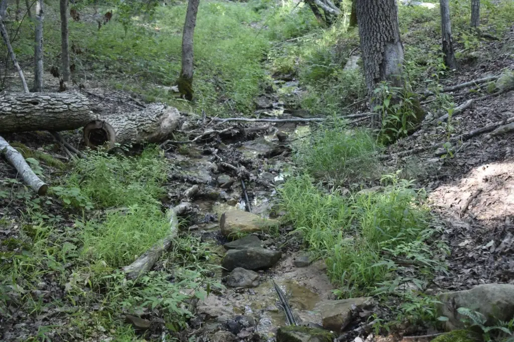 Picture 9