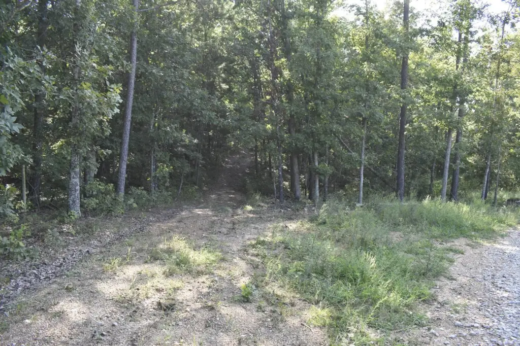 Picture 12