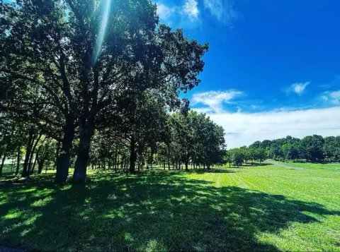 9.7 Acres in Republic, MO