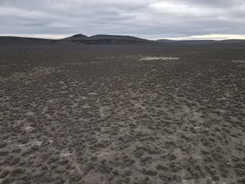 40 Acres of Vacant Land