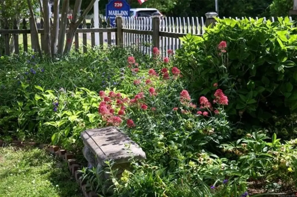 Picture 12