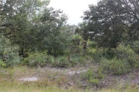 Okeechobee County 2.5-Acre Parcel
