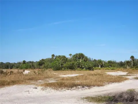 Okeechobee County Land Opportunity
