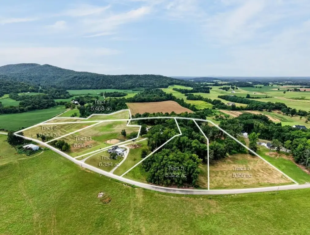 Picture 81