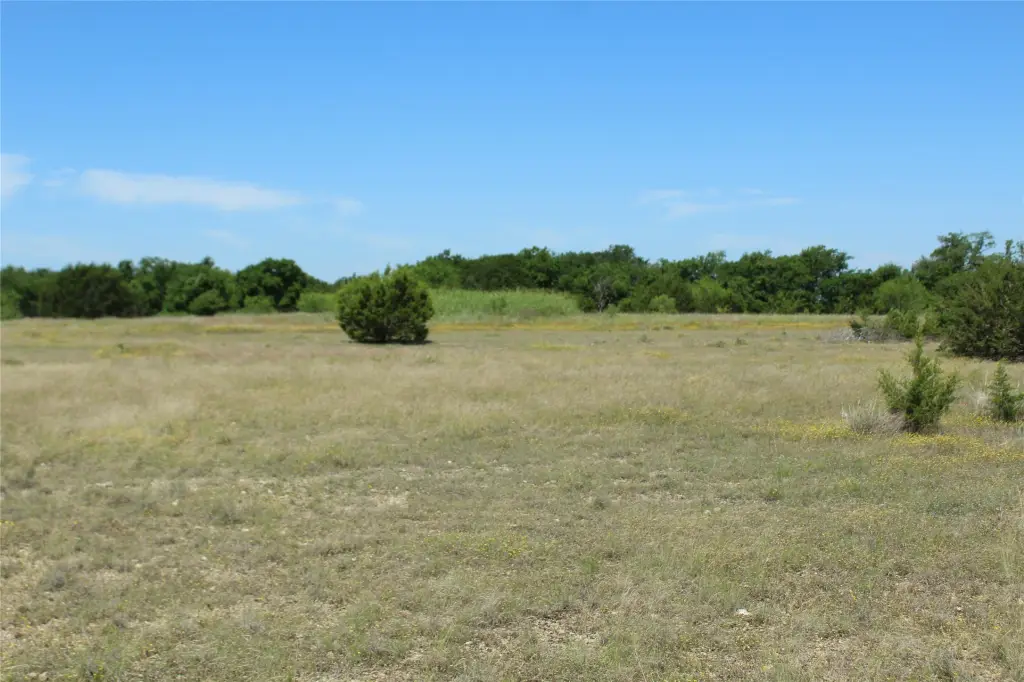Picture 25
