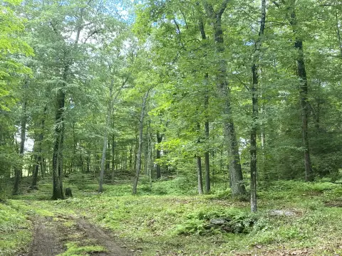 Roxbury Residential Land For Sale