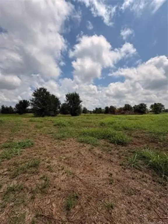 Picture 14
