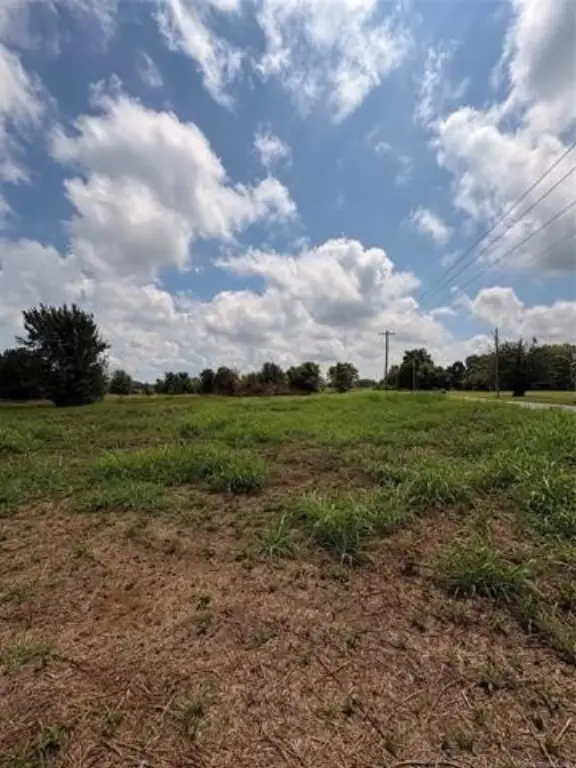 Picture 15