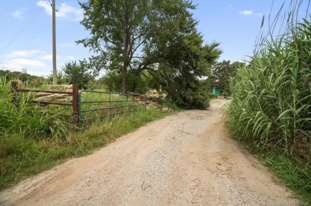 Picture 20