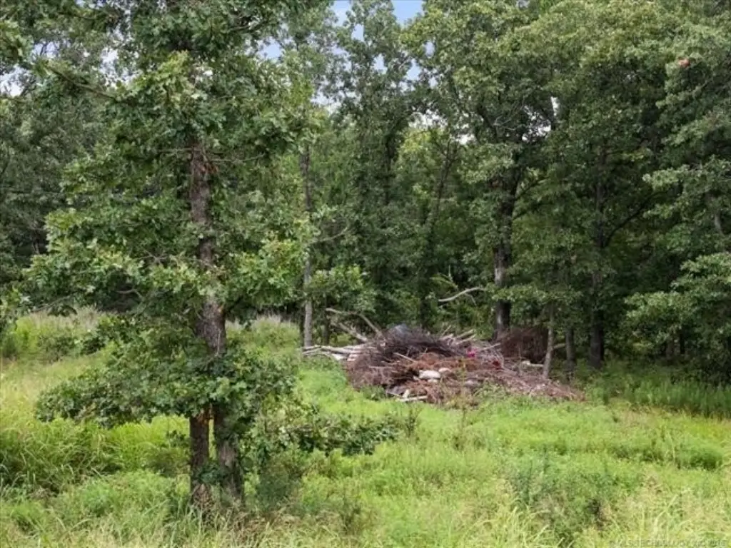 Picture 16