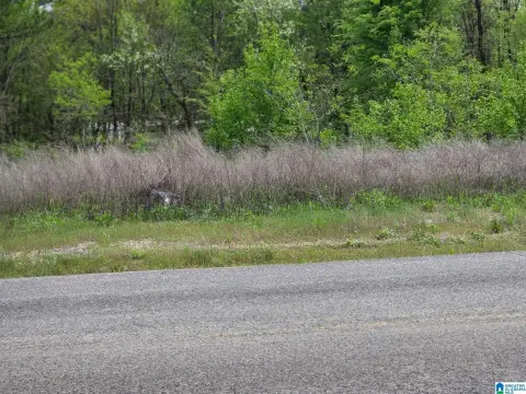 Land For Future Development