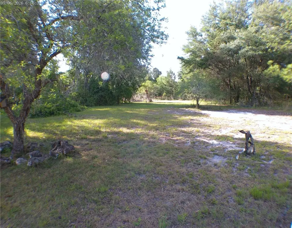 Picture 3