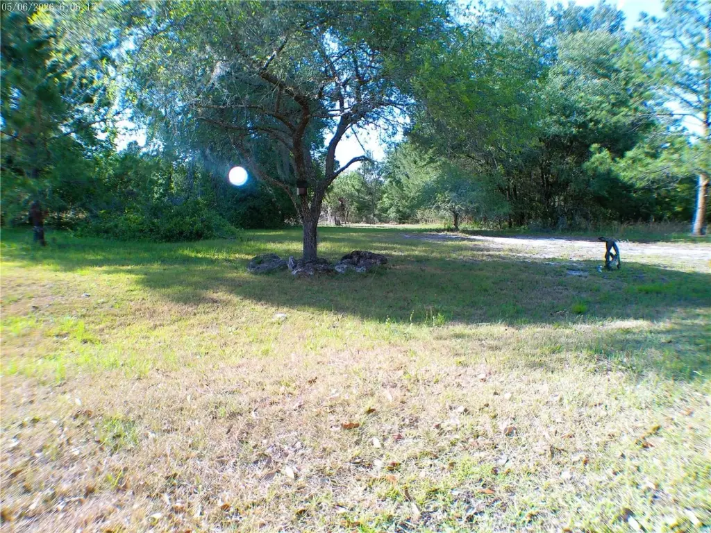 Picture 2