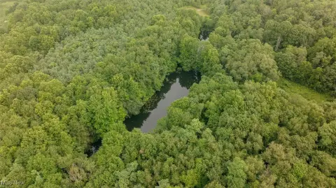 35.9 Acres Wooded Land