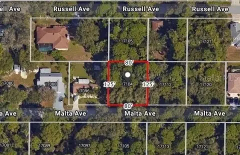 Port Charlotte Wooded Lot For Sale