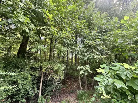 Elkton Vacant Land Near Development