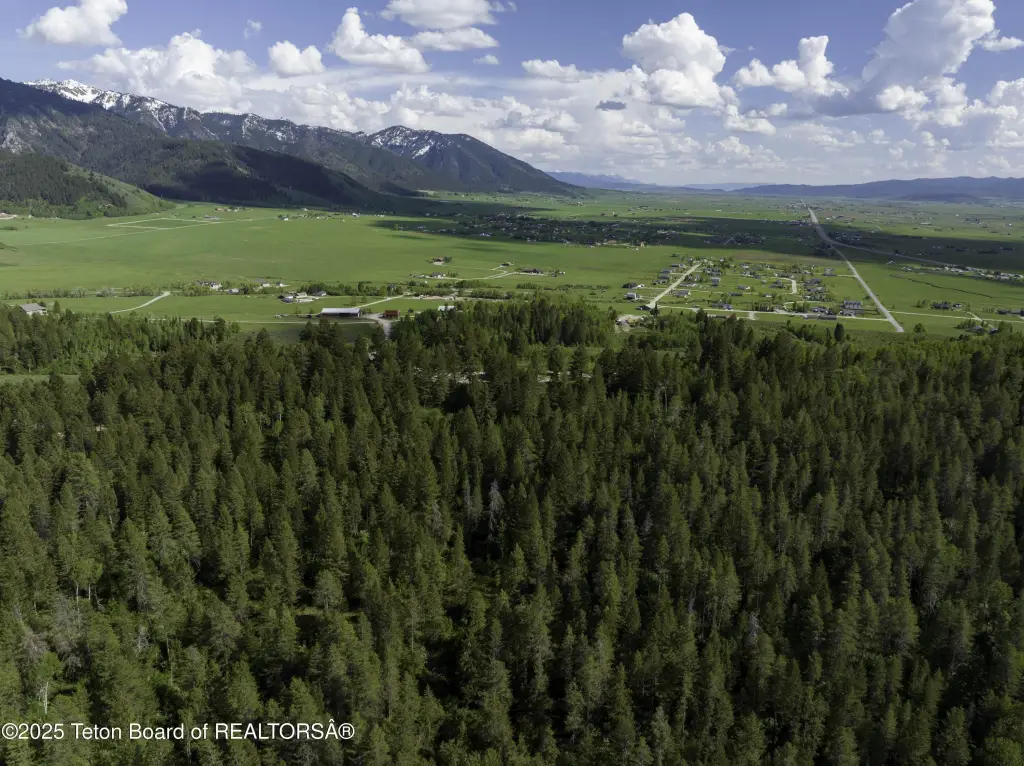 Picture 10