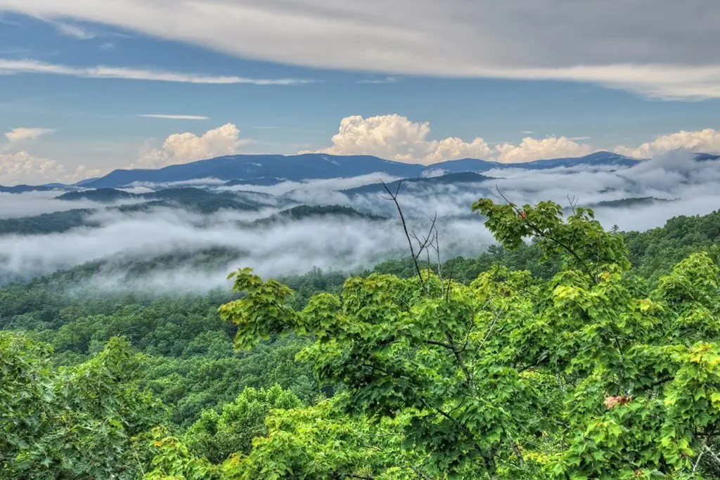 Picture 2