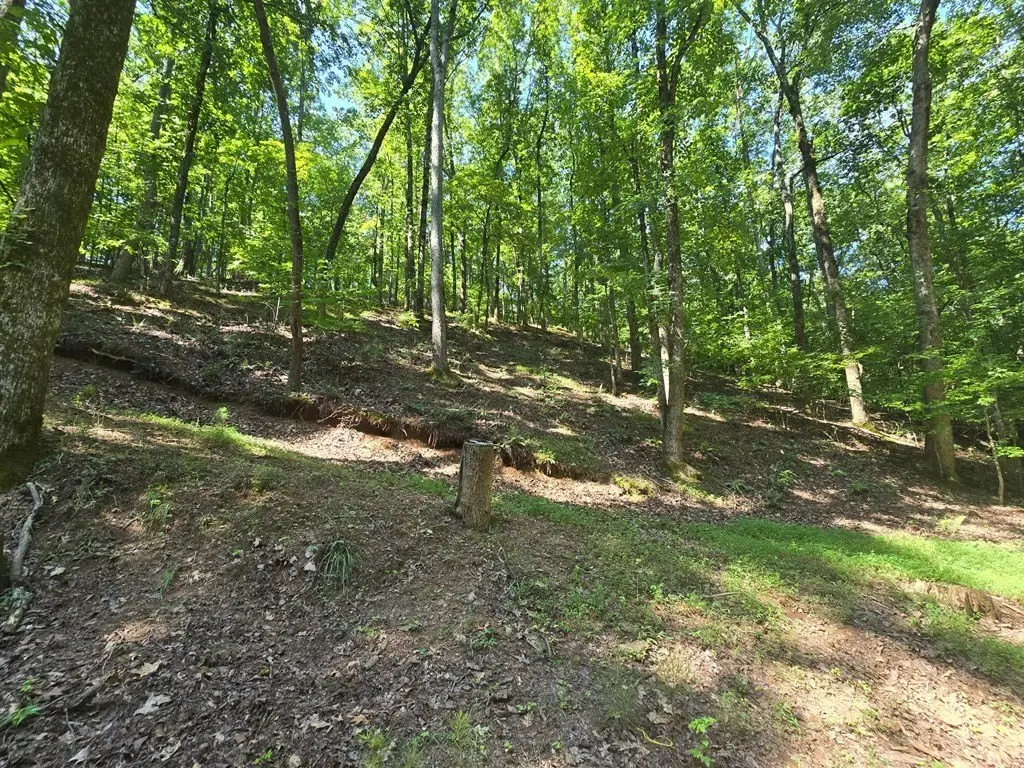 Picture 27