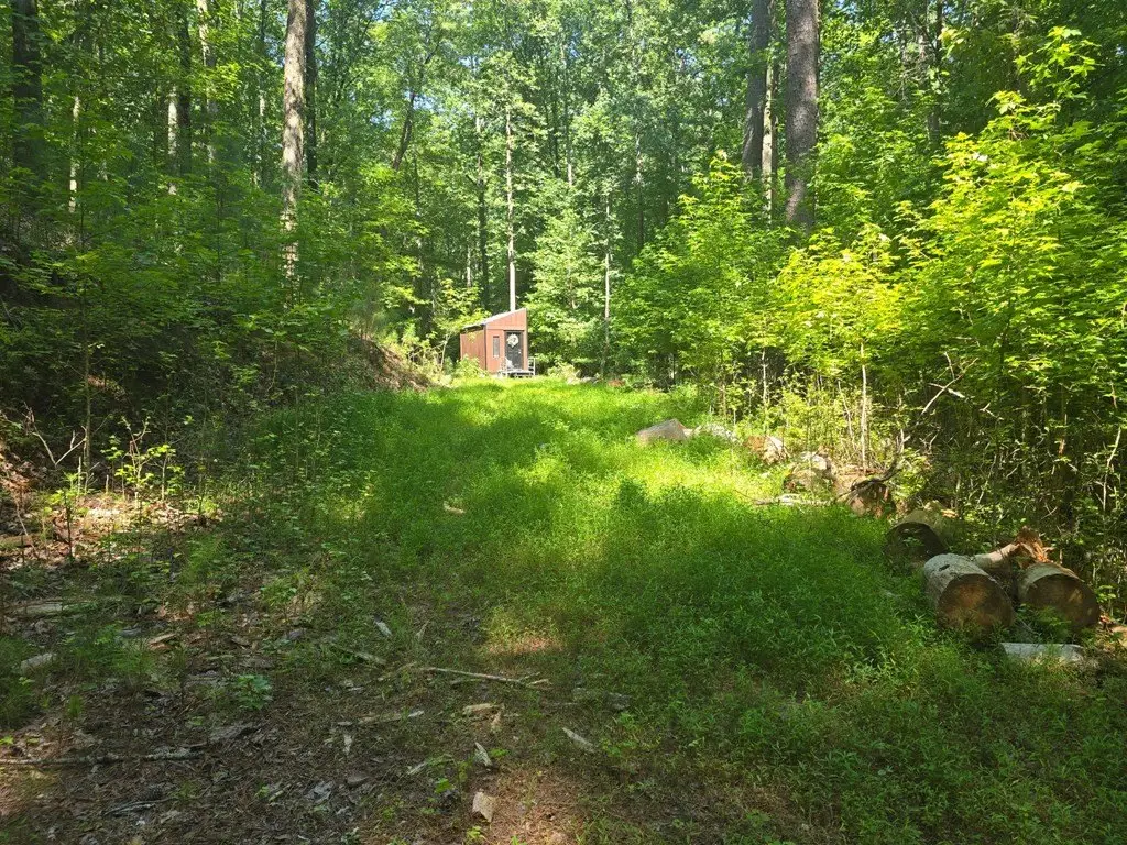 Picture 23