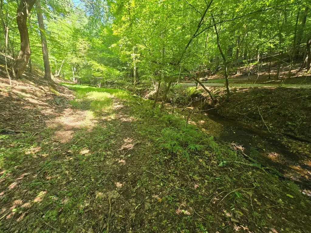 Picture 28