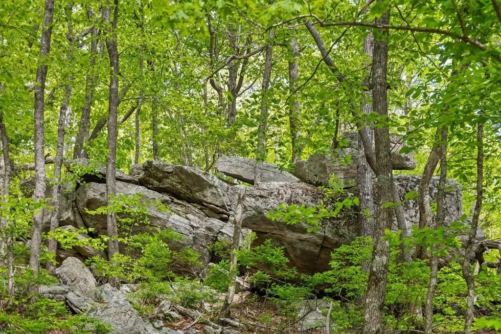 Picture 33