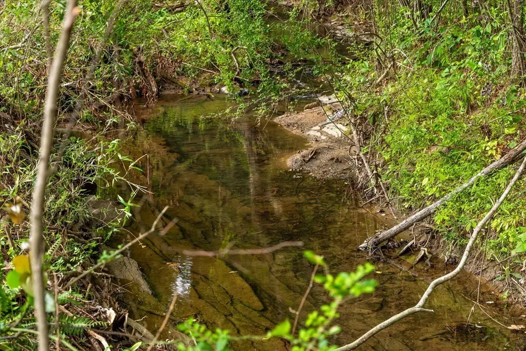 Picture 23