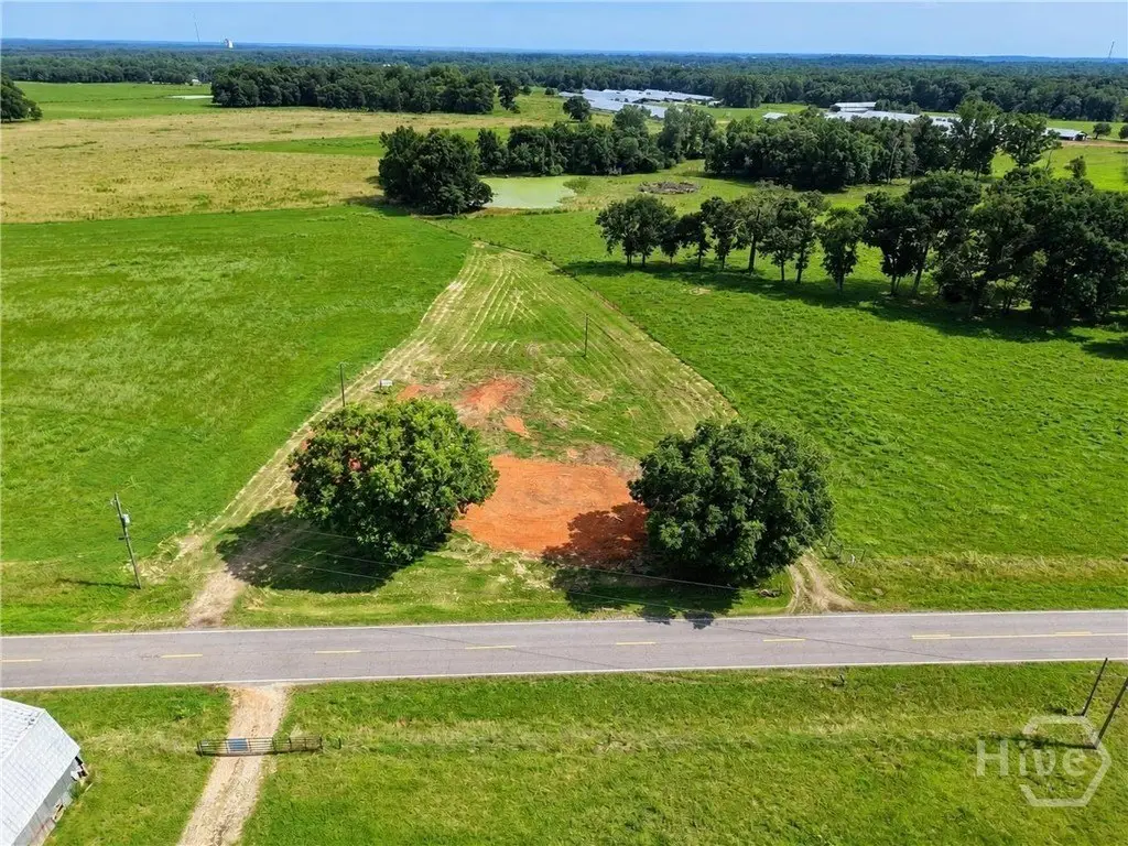 Picture 7