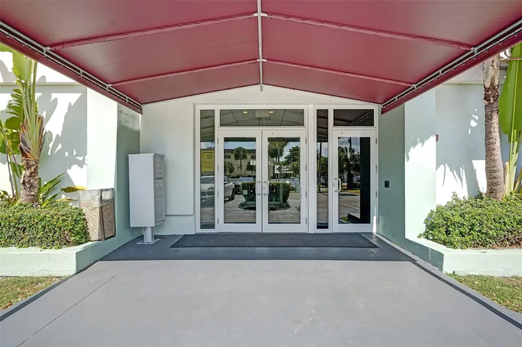Picture 5