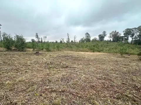 Vacant Land in Marbury, AL