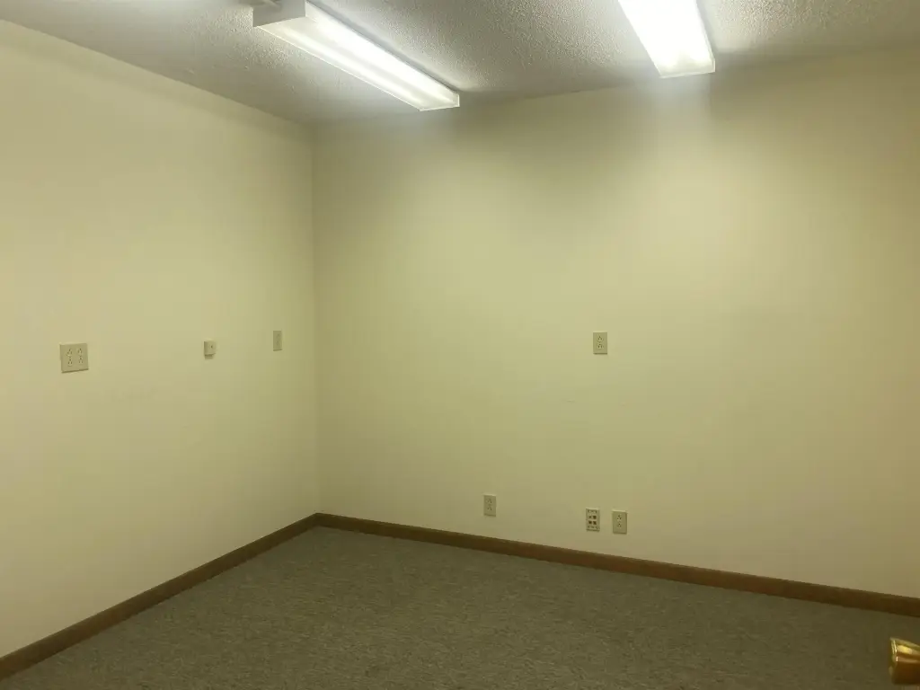 Picture 19