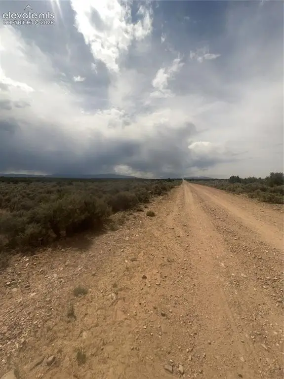 Picture 8
