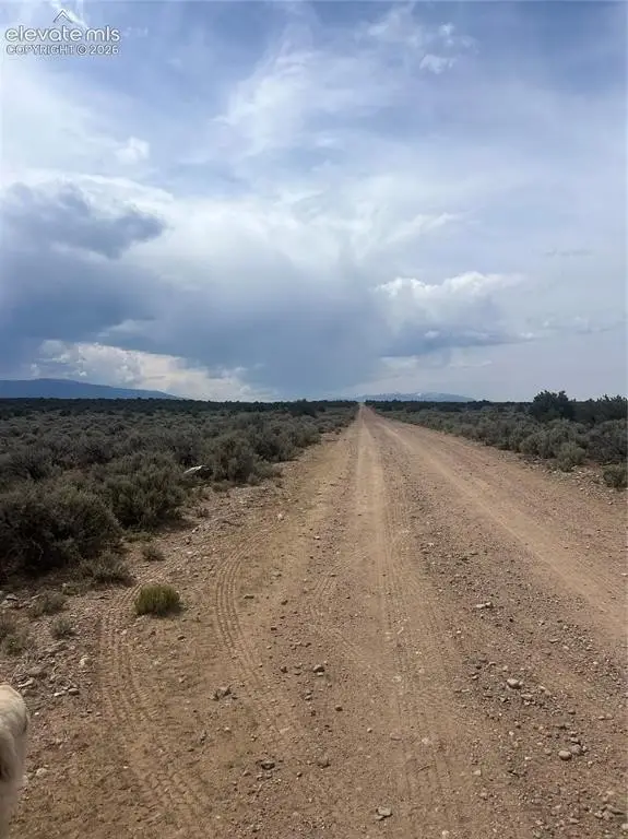 Picture 19