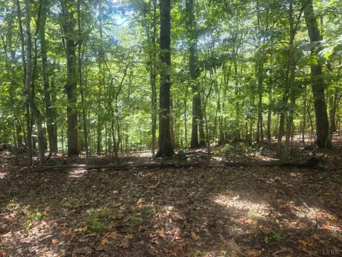 Wooded Lot with Creek Frontage
