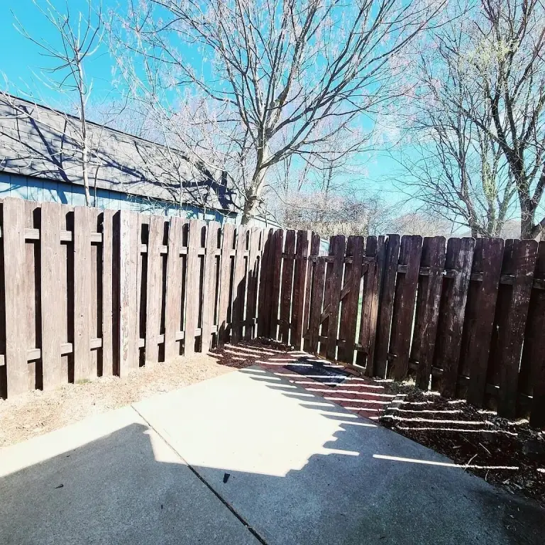 Picture 15