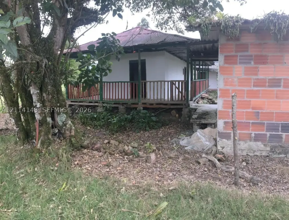 Picture 16