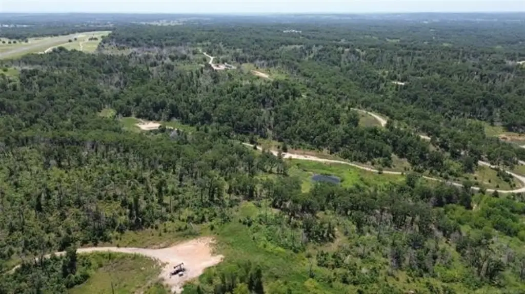 Picture 11
