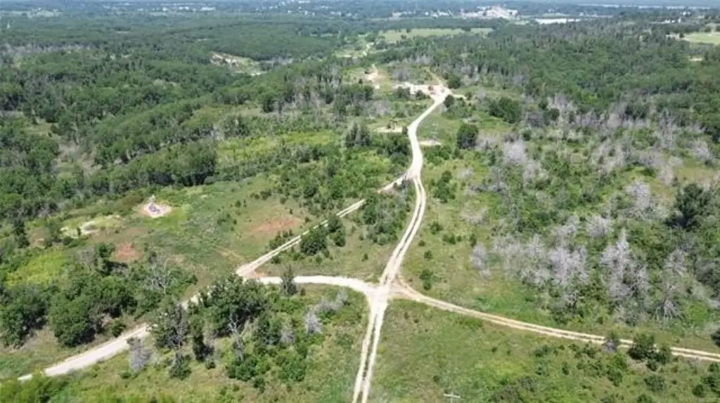 Picture 8