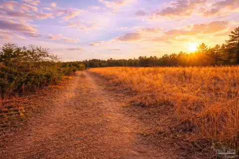 Land Parcel in Jay, FL