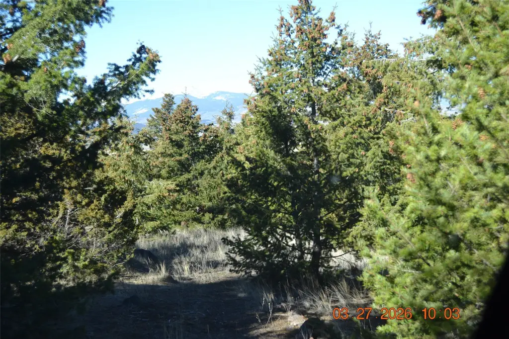 Picture 10