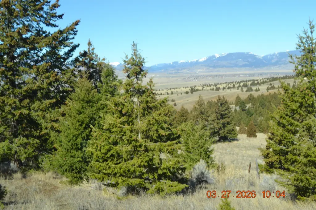 Picture 12
